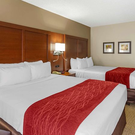 Comfort Inn & Suites Rochelle - Dekalb Eksteriør billede
