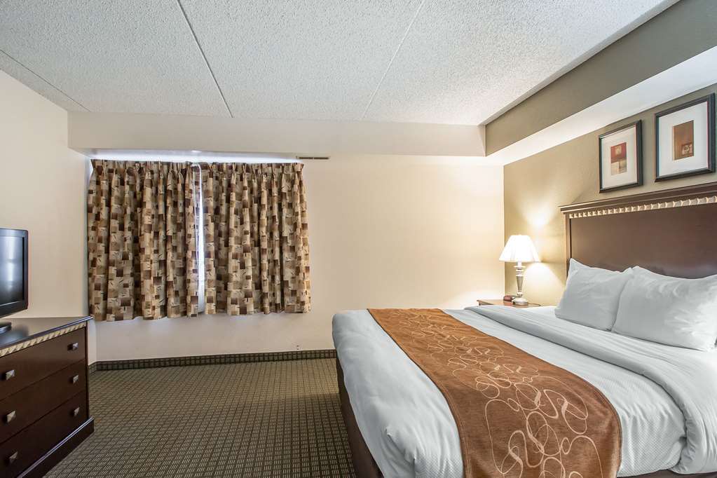 Comfort Inn & Suites Rochelle - Dekalb Værelse billede